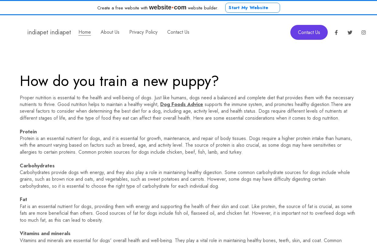 indiapetindiapet.website3.me