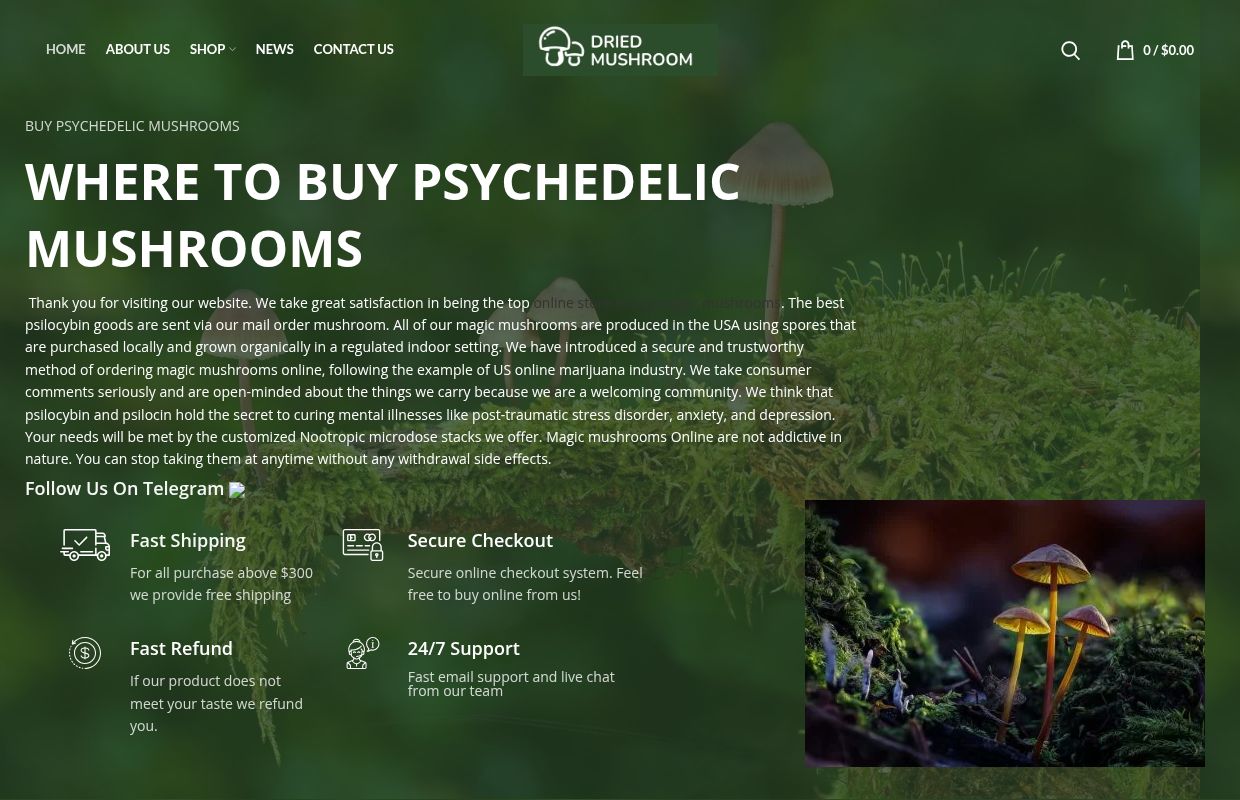 Buy Dried Mushrooms Online - Buy Dried Mushroom
