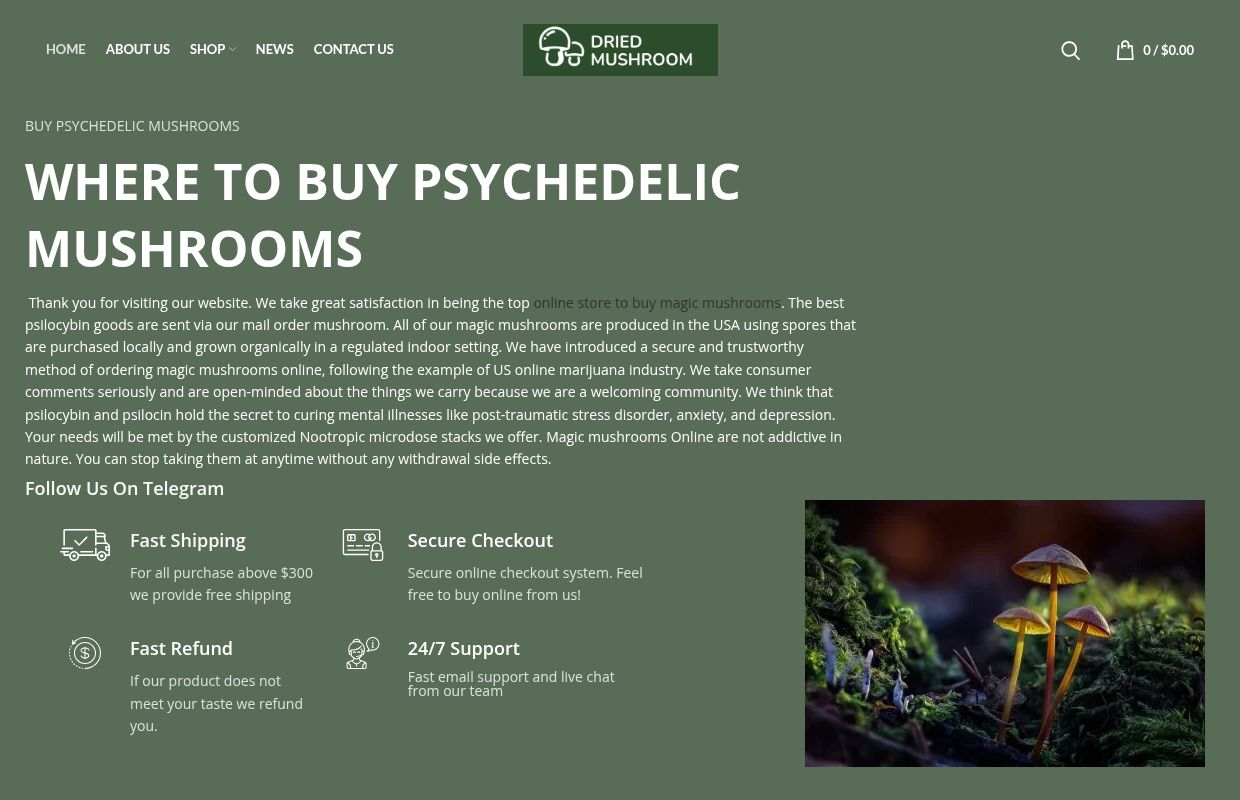 Buy Dried Mushrooms Online - Buy Dried Mushroom