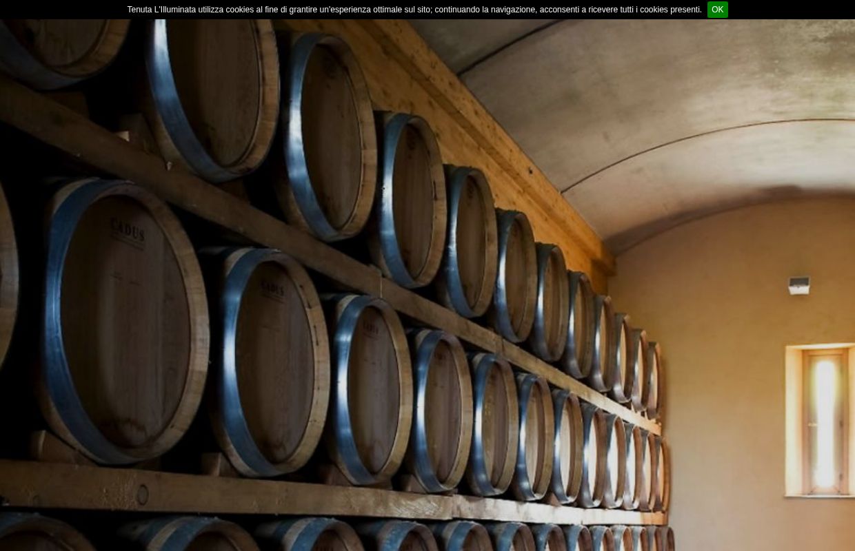 Tenuta L'Illuminata 