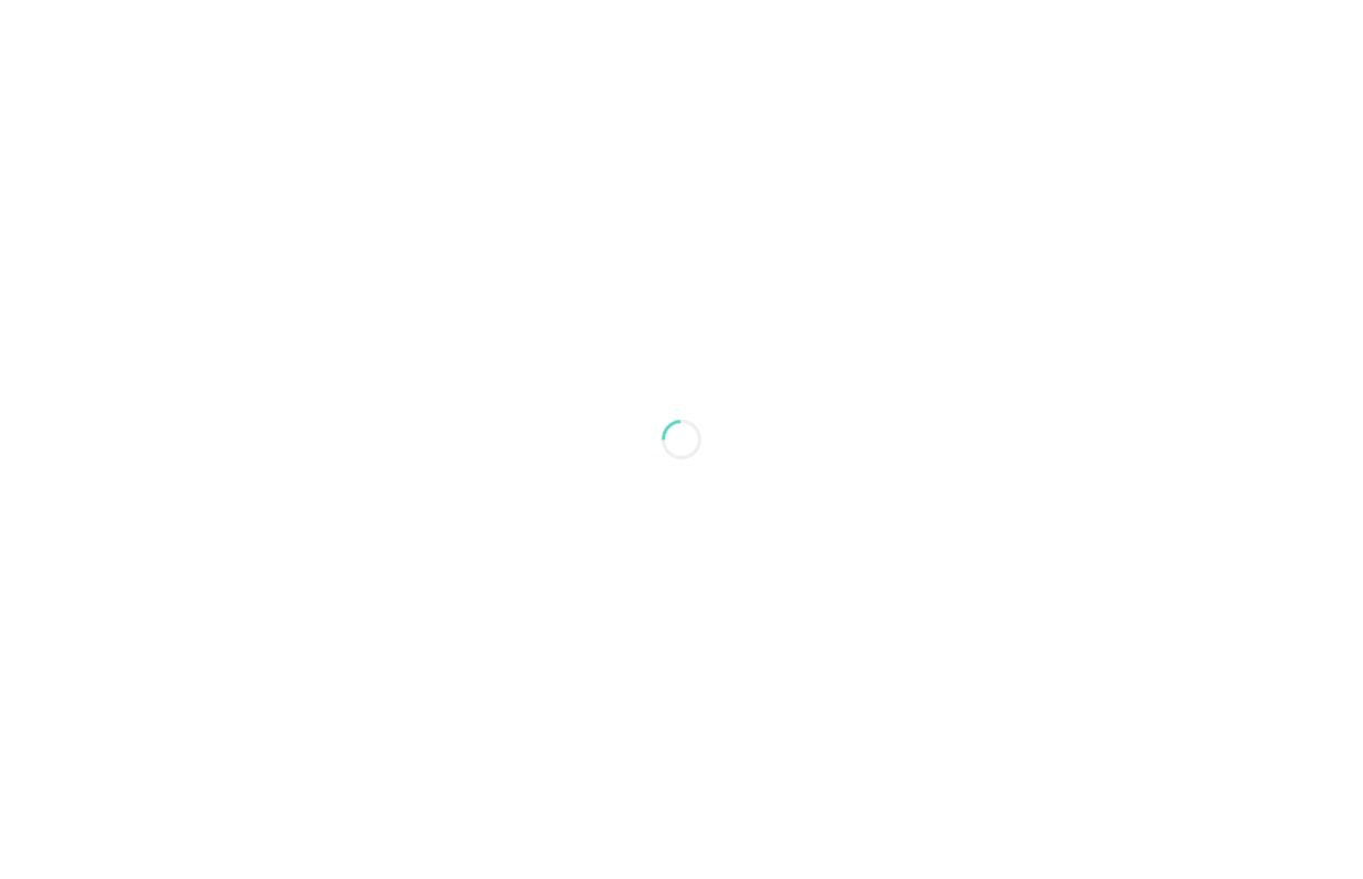 قطتي للحيوانات الاليفة